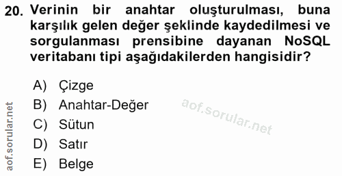 20. soru: Verinin bir anahtar oluşturulması, buna karşılık gelen değer şeklinde kaydedilmesi ve sorgulanması prensibine dayanan…