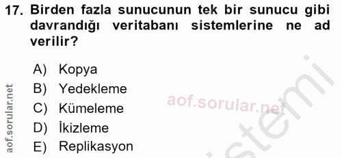 17. soru: Birden fazla sunucunun tek bir sunucu gibi davrandığı veritabanı sistemlerine ne ad verilir? A) Kopya B) Yedekleme C)…