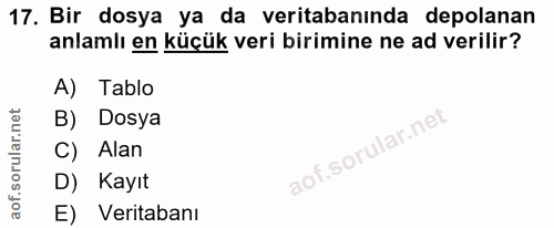17. soru: Bir dosya ya da veritabanında depolanan anlamlı en küçük veri birimine ne ad verilir? A) Tablo B) Dosya C) Alan D) Ka…