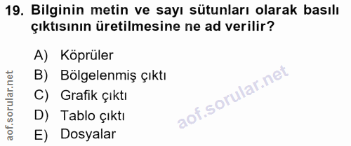 19. soru: Bilginin metin ve sayı sütunları olarak basılı çıktısının üretilmesine ne ad verilir? A) Köprüler B) Bölgelenmiş çıkt…