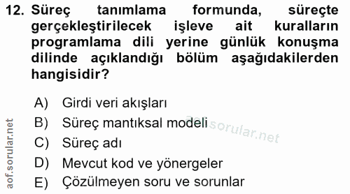 12. soru: Süreç tanımlama formunda, süreçte gerçekleştirilecek işleve ait kuralların programlama dili yerine günlük konuşma dil…