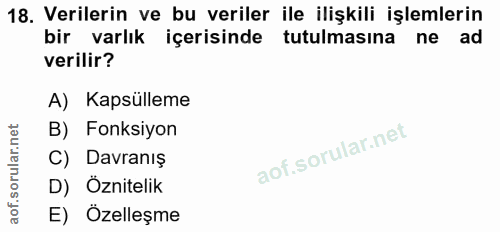 18. soru: Verilerin ve bu veriler ile ilişkili işlemlerin bir varlık içerisinde tutulmasına ne ad verilir? A) Kapsülleme B) Fon…