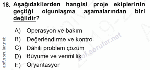 18. soru: Aşağıdakilerden hangisi proje ekiplerinin geçtiği olgunlaşma aşamalarından biri değildir? A) Operasyon ve bakım lar.n…