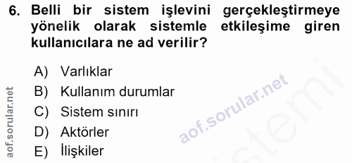 6. soru: Belli bir sistem işlevini gerçekleştirmeye yönelik olarak sistemle etkileşime giren kullanıcılara ne ad verilir? A) V…