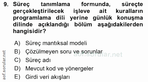 9. soru: Süreç tanımlama formunda, süreçte gerçekleştirilecek işleve ait kuralların programlama dili yerine günlük konuşma dil…