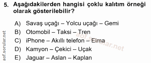 5. soru: Aşağıdakilerden hangisi çoklu kalıtım örneği olarak gösterilebilir? A) Savaş uçağı - Yolcu uçağı - Gemi B) Otomobil -…
