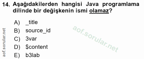 14. soru: Aşağıdakilerden hangisi Java programlama dilinde bir değişkenin ismi olamaz? A) _title B) source_id C) 3var D) Sconte…