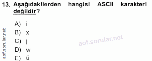 13. soru: Aşağıdakilerden hangisi ASCII karakteri değildir? A) i B) x C) j D) W E) u