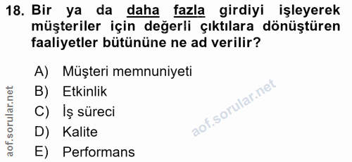 18. soru: Bir ya da daha fazla girdiyi işleyerek müşteriler için değerli çıktılara dönüştüren faaliyetler bütününe ne ad verili…