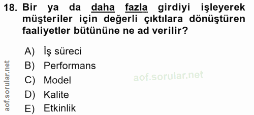 18. soru: Bir ya da daha fazla girdiyi işleyerek müşteriler için değerli çıktılara dönüştüren faaliyetler bütününe ne ad verili…