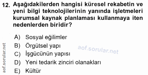 12. soru: Aşağıdakilerden hangisi küresel rekabetin ve yeni bilgi teknolojilerinin yanında işletmeleri kurumsal kaynak planlama…