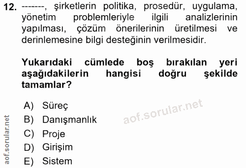 12. soru: —, şirketlerin politika, prosedür, uygulama, yönetim problemleriyle ilgili analizlerinin yapılması, çözüm önerilerini…