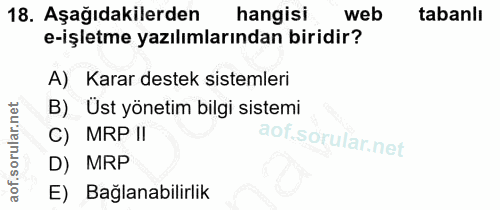 18. soru: Aşağıdakilerden hangisi web tabanlı e-işletme yazılımlarından biridir? A) Karar destek sistemleri B) Ust yönetim bilg…