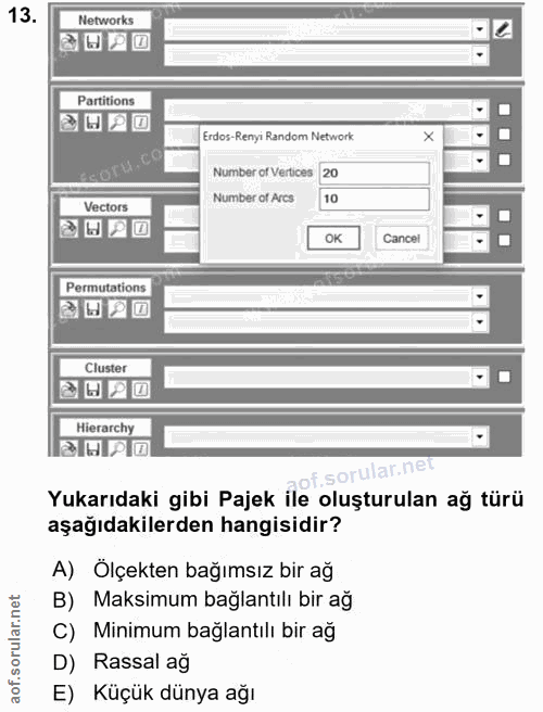 13. soru: Networks العا Partitions Erdos-Renyi Random Network Number of Vertices 20 Number of Arcs 10 Vectors Cancel Permutatio…