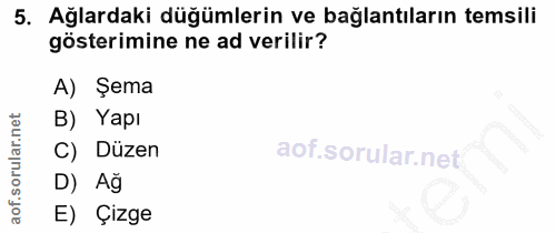 5. soru: Ağlardaki düğümlerin ve bağlantıların temsili gösterimine ne ad verilir? A) Şema B) Yapı C) Düzen D) Ağ E) Çizge