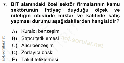 7. soru: BİT alanındaki özel sektör firmalarının kamu sektörünün ihtiyaç duyduğu ölçek ve niteligin ötesinde miktar ve kalited…