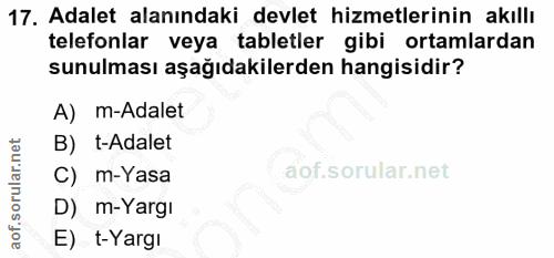 17. soru: Adalet alanındaki devlet hizmetlerinin akıllı telefonlar veya tabletler gibi ortamlardan sunulması aşağıdakilerden ha…