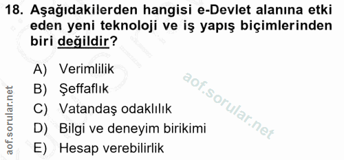 18. soru: Aşağıdakilerden hangisi e-Devlet alanına etki eden yeni teknoloji ve iş yapış biçimlerinden biri değildir? A) Verimli…
