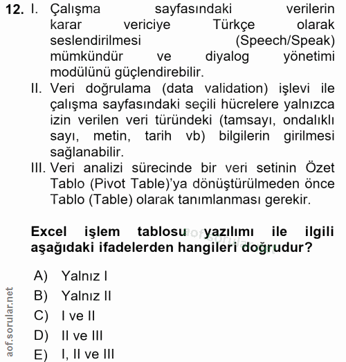 12. soru: I. Çalışma sayfasındaki verilerin karar vericiye Türkçe olarak seslendirilmesi (Speech/Speak) mümkündür ve diyalog yö…