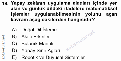18. soru: Yapay zekânın uygulama alanları içinde yer alan ve günlük dildeki ifadelere matematiksel işlemler uygulanabilmesinin…