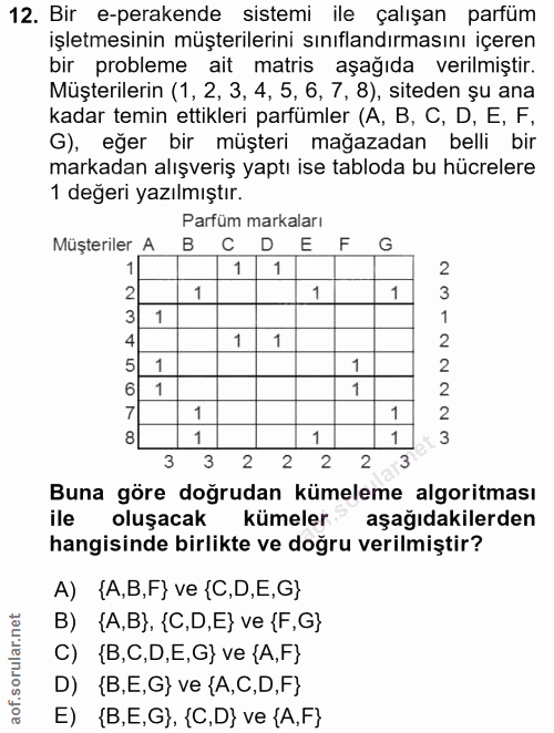12. soru: Bir e-perakende sistemi ile çalışan parfüm işletmesinin müşterilerini sınıflandırmasını içeren bir probleme ait matri…