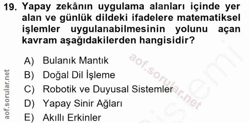 19. soru: Yapay zekânın uygulama alanları içinde yer alan ve günlük dildeki ifadelere matematiksel işlemler uygulanabilmesinin…