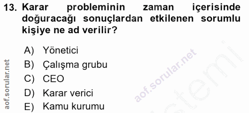 13. soru: Karar probleminin zaman içerisinde doğuracağı sonuçlardan etkilenen sorumlu kişiye ne ad verilir? A) Yönetici B) Çalı…