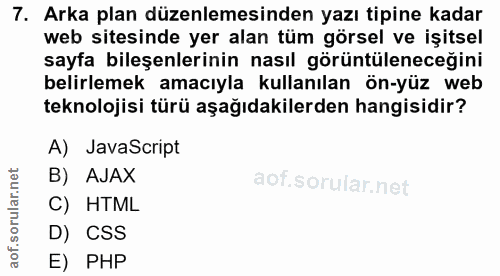 7. soru: Arka plan düzenlemesinden yazı tipine kadar web sitesinde yer alan tüm görsel ve işitsel sayfa bileşenlerinin nasıl g…
