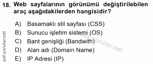 18. soru: Web sayfalarının görünümü değiştirilebilen araç aşağıdakilerden hangisidir? A) Basamaklı stil sayfası (CSS) B) Sunucu…