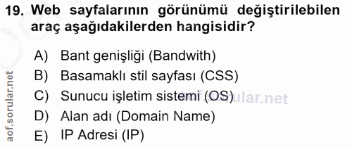 19. soru: Web sayfalarının görünümü değiştirilebilen araç aşağıdakilerden hangisidir? A) Bant genişligi (Bandwith) B) Basamaklı…