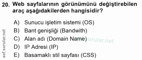 20. soru: Web sayfalarının görünümünü değiştirebilen araç aşağıdakilerden hangisidir? A) Sunucu işletim sistemi (OS) B) Bant ge…