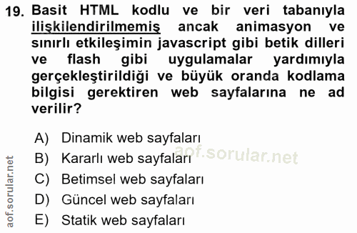 19. soru: Basit HTML kodlu ve bir veri tabanıyla ilişkilendirilmemiş ancak animasyon ve sınırlı etkileşimin javascript gibi bet…
