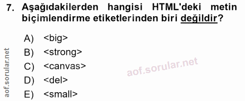 7. soru: Aşağıdakilerden hangisi HTML'deki metin biçimlendirme etiketlerinden biri değildir? A) ‹big> B) <strong> C) <canvas>…