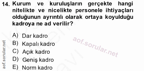 14. soru: Kurum ve kuruluşların gerçekte hangi nitelikte ve nicelikte personele ihtiyaçları olduğunun ayrıntılı olarak ortaya k…