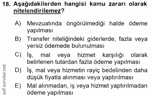 18. soru: Aşağıdakilerden hangisi kamu zararı olarak nitelendirilemez? A) Mevzuatında öngörülmediği halde ödeme yapılması B) Tr…