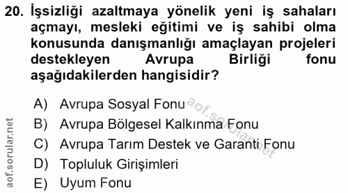 20. soru: İşsizliği azaltmaya yönelik yeni iş sahaları açmayı, mesleki eğitimi ve iş sahibi olma konusunda danışmanlığı amaçlay…
