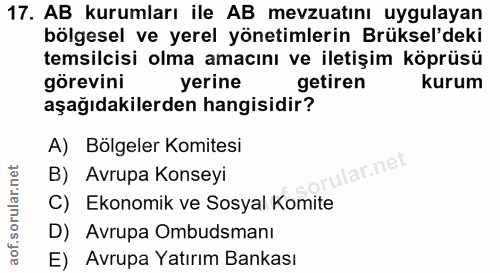 17. soru: AB kurumları ile AB mevzuatını uygulayan bölgesel ve yerel yönetimlerin Brüksel'deki temsilcisi olma amacını ve ileti…