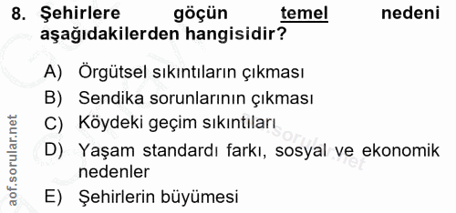 8. soru: Şehirlere göçün temel nedeni aşağıdakilerden hangisidir? A) Örgütsel sıkıntıların çıkması B) Sendika sorunlarının çık…