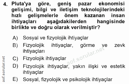4. soru: Pluta'ya göre, geniş pazar ekonomisi gelişimi, bilgi ve iletişim teknolojilerindeki hızlı gelişmelerle önem kazanan i…